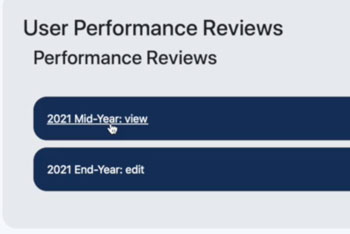 performance review button